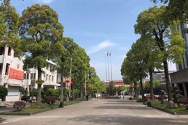 l(xing)hI(y)еȌI(y)WУ