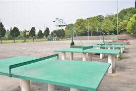 ɽ^(q)I(y)g(sh)W(xu)У