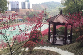 нͨеI(y)g(sh)W(xu)У